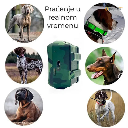 Lokator za lovačke pse - Tracker za pse IK122T 4G GPS