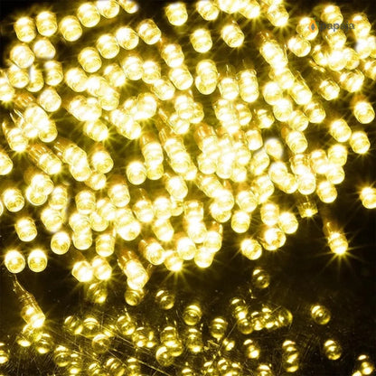 LED novogodišnja traka 50 - 100 m