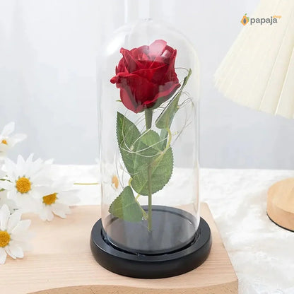 Svetleća zastakljena ruža + Električni otvarač za vino PAPAJA ROMANTIC COMBO