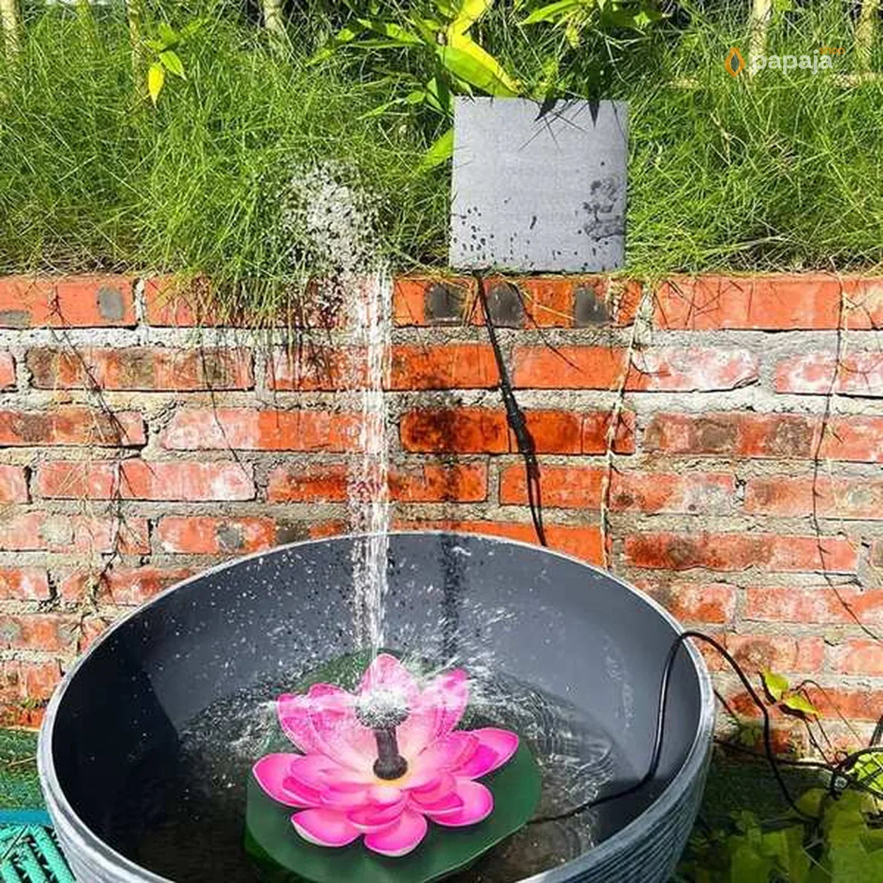 Solarna Fontana Lotos